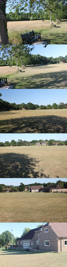 Barns Green - Main Green Views